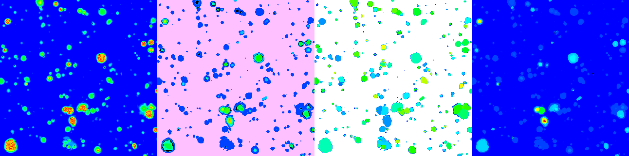 Bitmaps of the FELINE result.